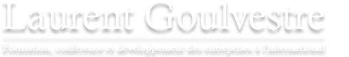 Blog.goulevstre.com